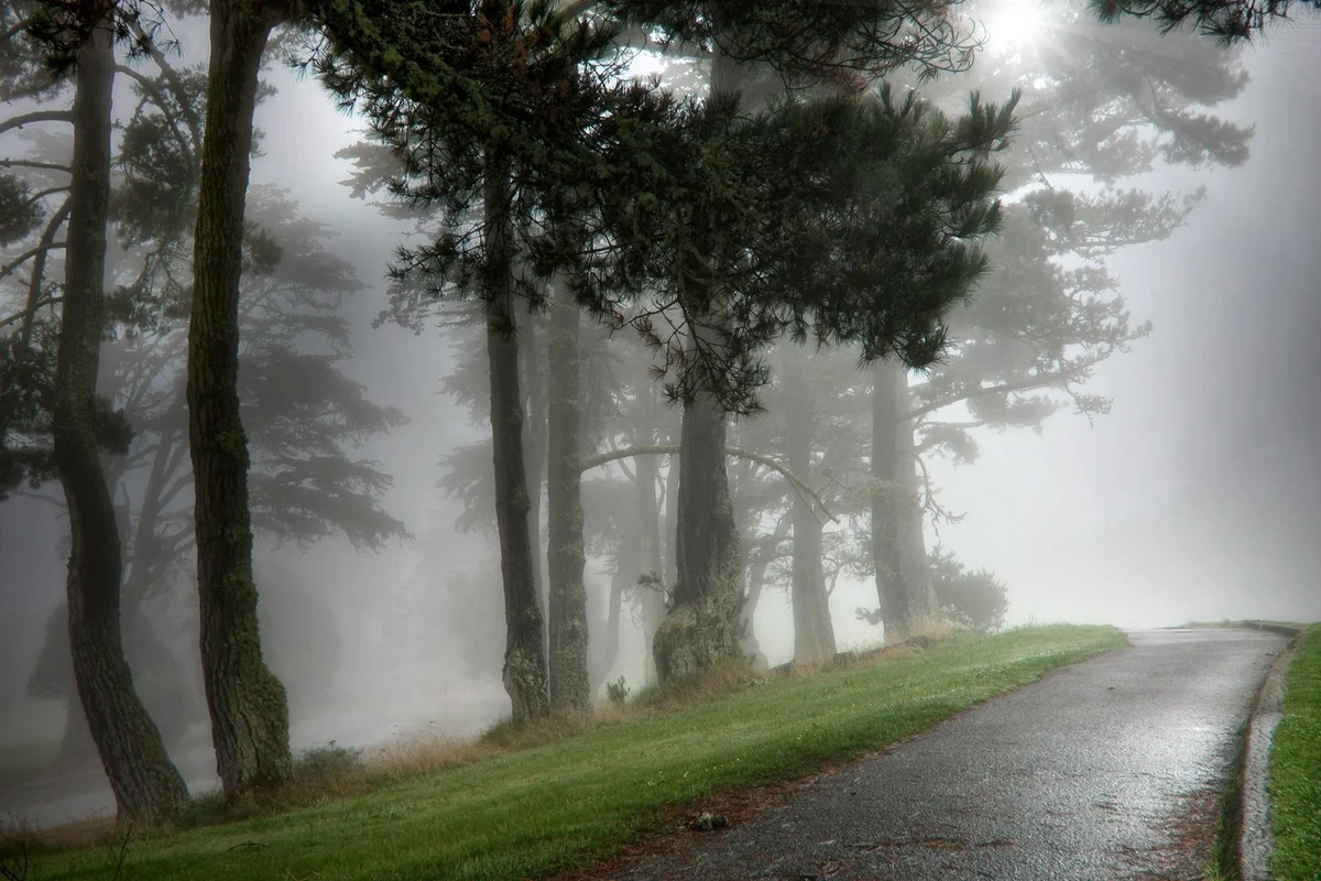 Sabah 14° isti olacaq