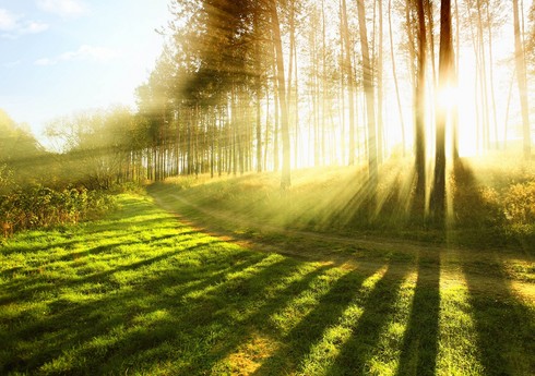 Sabah 25 dərəcə isti olacaq - PROQNOZ