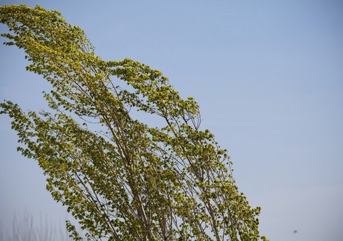 Sabah arabir yağış yağacaq, külək güclənəcək - PROQNOZ Sabah arabir yağış yağacaq, külək güclənəcək - PROQNOZ