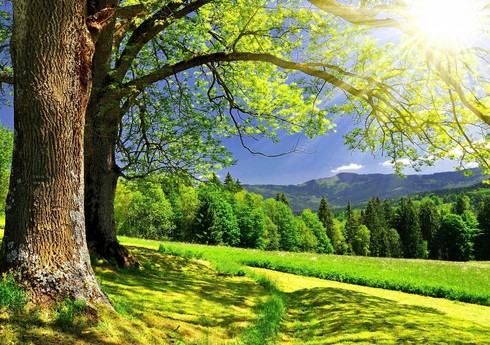 Sabah Bakıda 23, rayonlarda 25 dərəcə isti olacaq Sabah Bakıda 23, rayonlarda 25 dərəcə isti olacaq