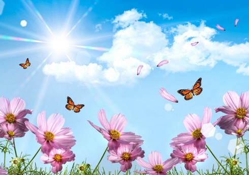 Sabah temperatur Bakıda 42, bəzi rayonlarda 44 dərəcəyədək artacaq