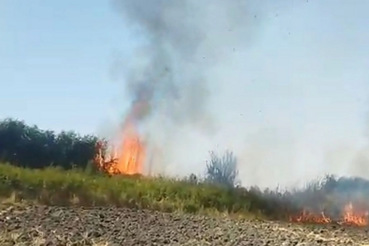 Sabirabadda yanğın törədən şəxs məsuliyyətə cəlb edilib