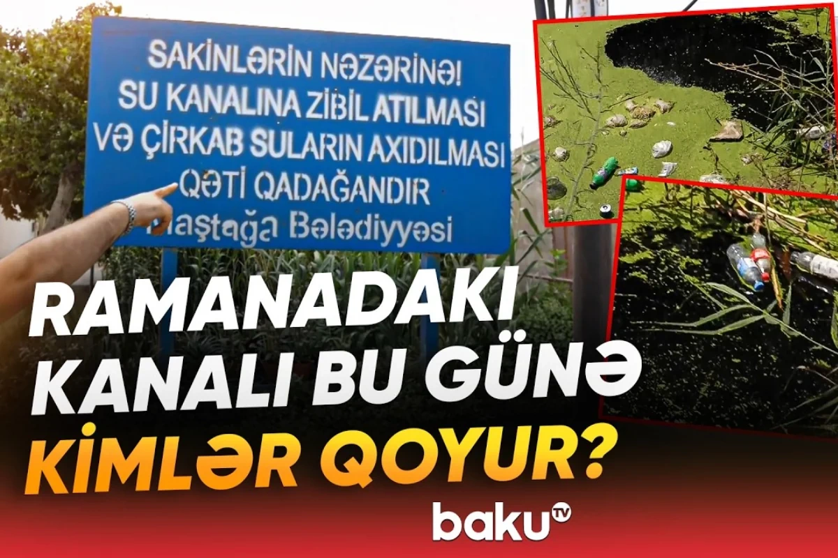Sabunçu sakinlərinin şikayəti: Baxımsız kanal və sahibsiz küçə itləri