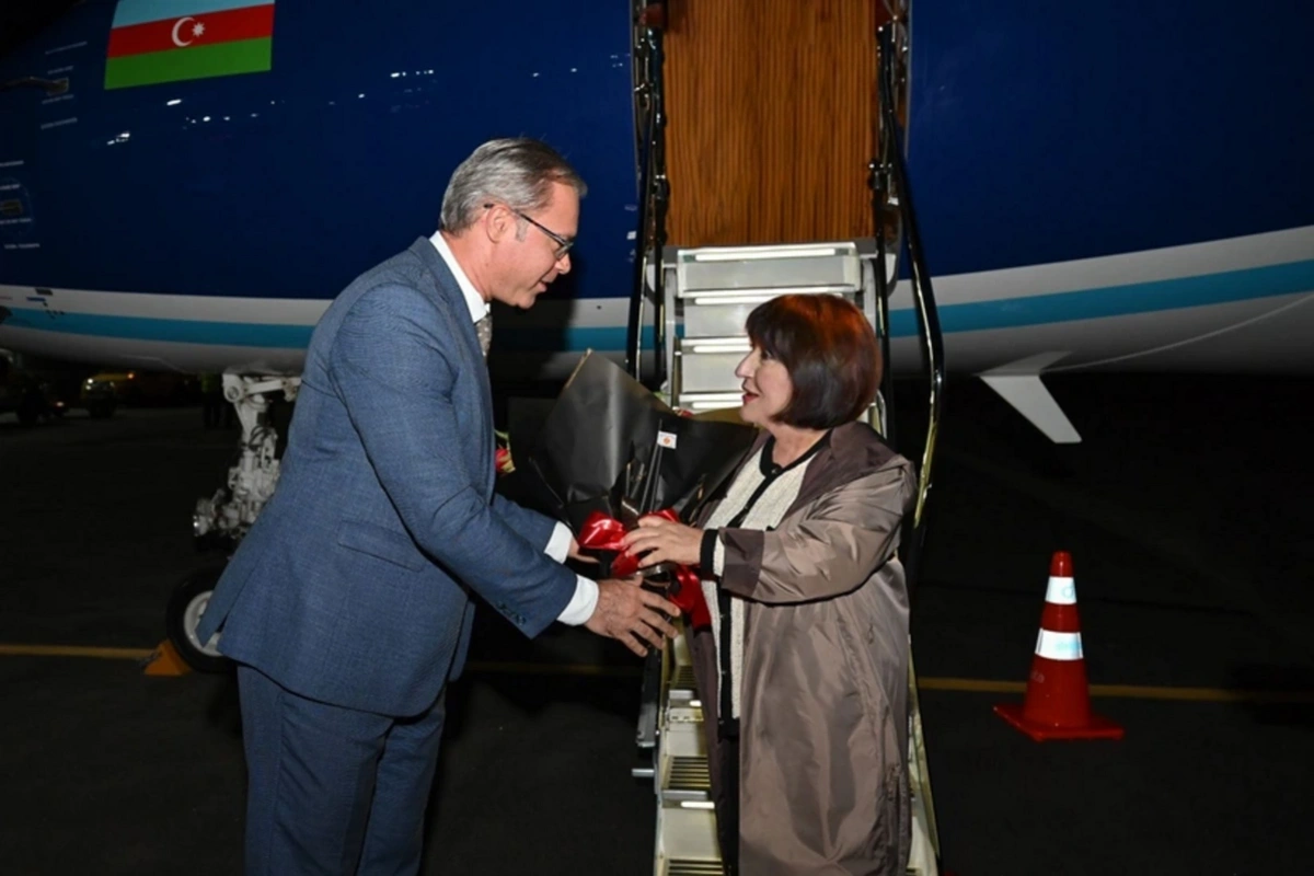 Sahibə Qafarova COP30-da iştirak etmək üçün Braziliyada işgüzar səfərdədir