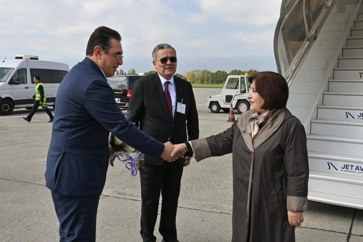 Sahibə Qafarova İsveçrəyə işgüzar səfər edib