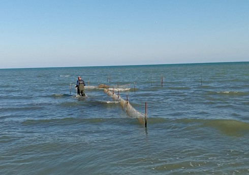 Sarısu Ovçuluq Təsərrüfatının ərazisində ov qaydalarını pozan şəxs saxlanılıb