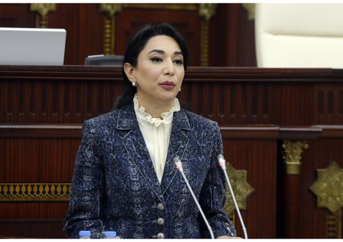Səbinə Əliyeva: Dövlət bağçalarında uşaq psixoloqu və erkən inkişaf üzrə mütəxəssis ştatı yaradılmalıdır