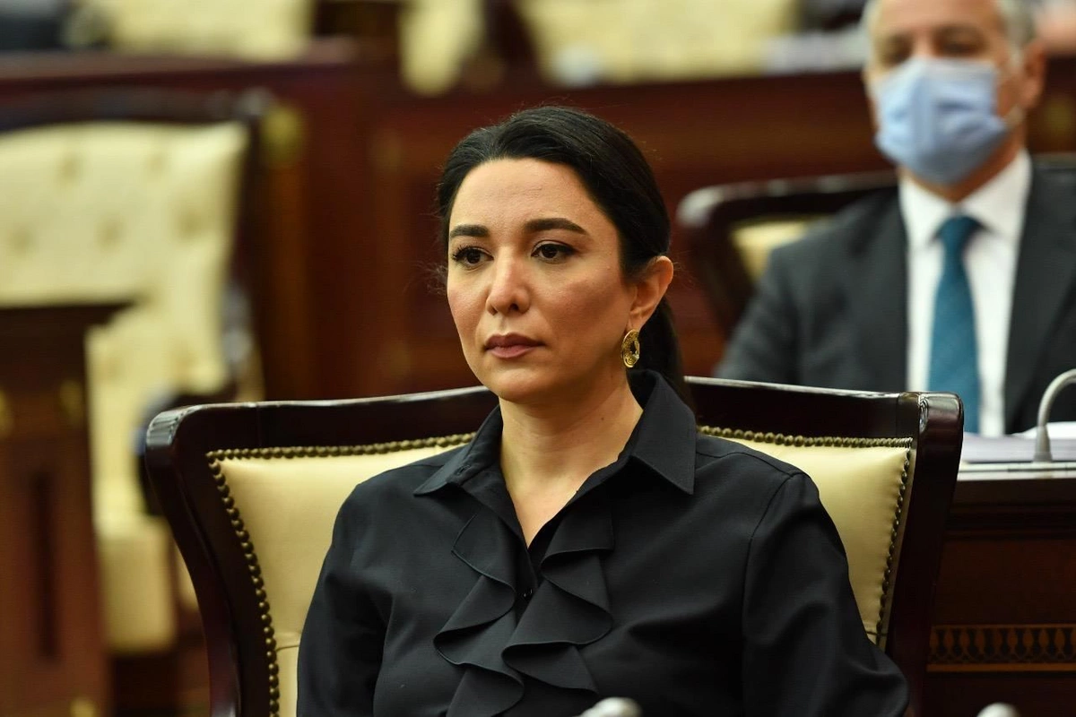Səbinə Əliyeva azərbaycanlılara qarşı zorakılıqla bağlı Rusiya Ombudsmanına məktub ünvanlayıb