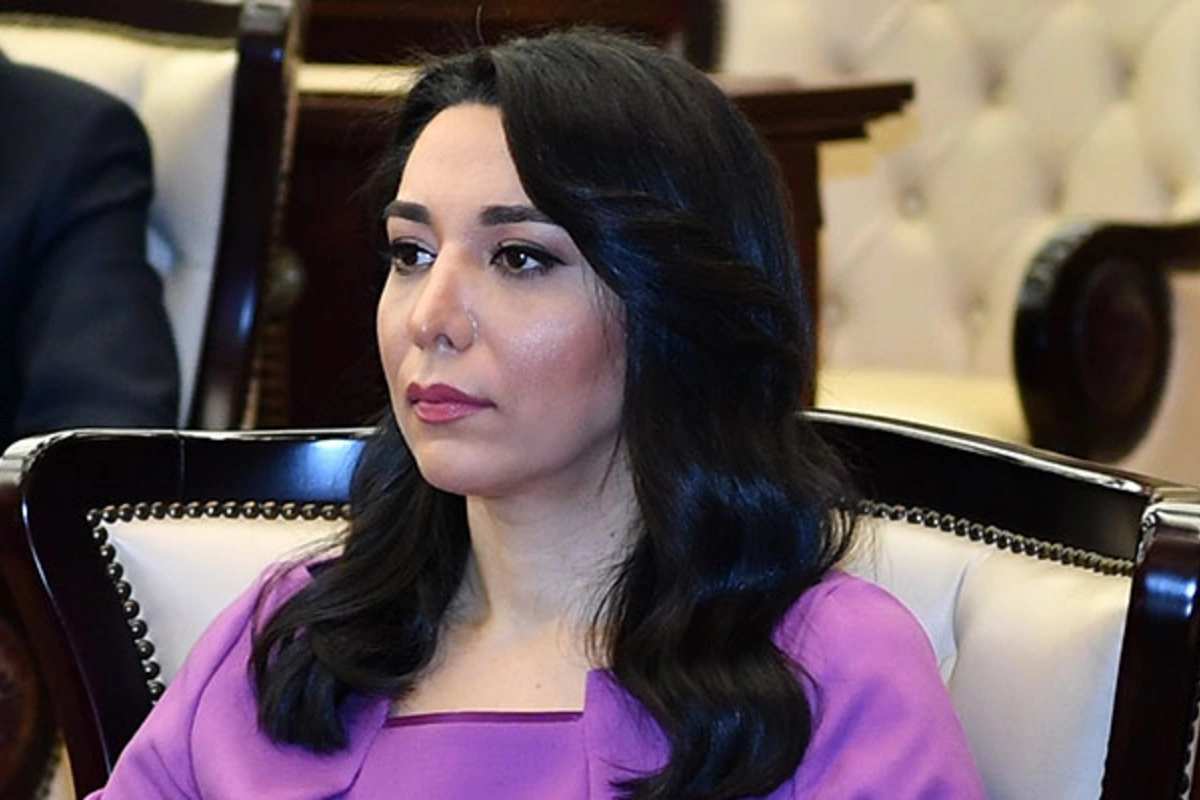 Səbinə Əliyeva: Ermənistanlı hüquq müdafiəçisinin iddiaları əsassız və qərəzlidir