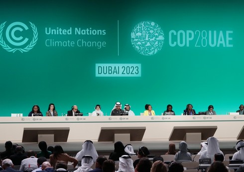 Seneqal nümayəndəsi Azərbaycanı COP29-un ev sahibi seçilməsi münasibətilə təbrik edib