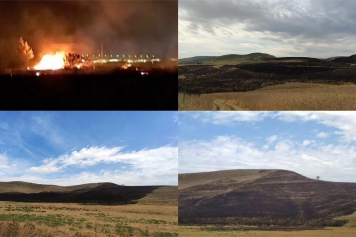 Şabranda əkin sahələrinin yandırılmasına görə iki nəfər saxlanılıb