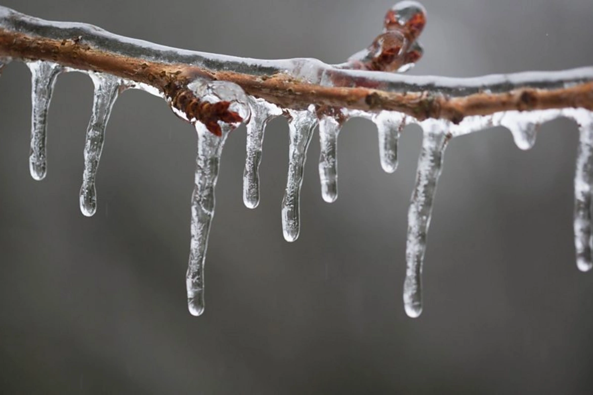 Şaxtalı hava davam edir, gecə saatlarından yağıntılar tədricən kəsilib - FAKTİKİ HAVA
