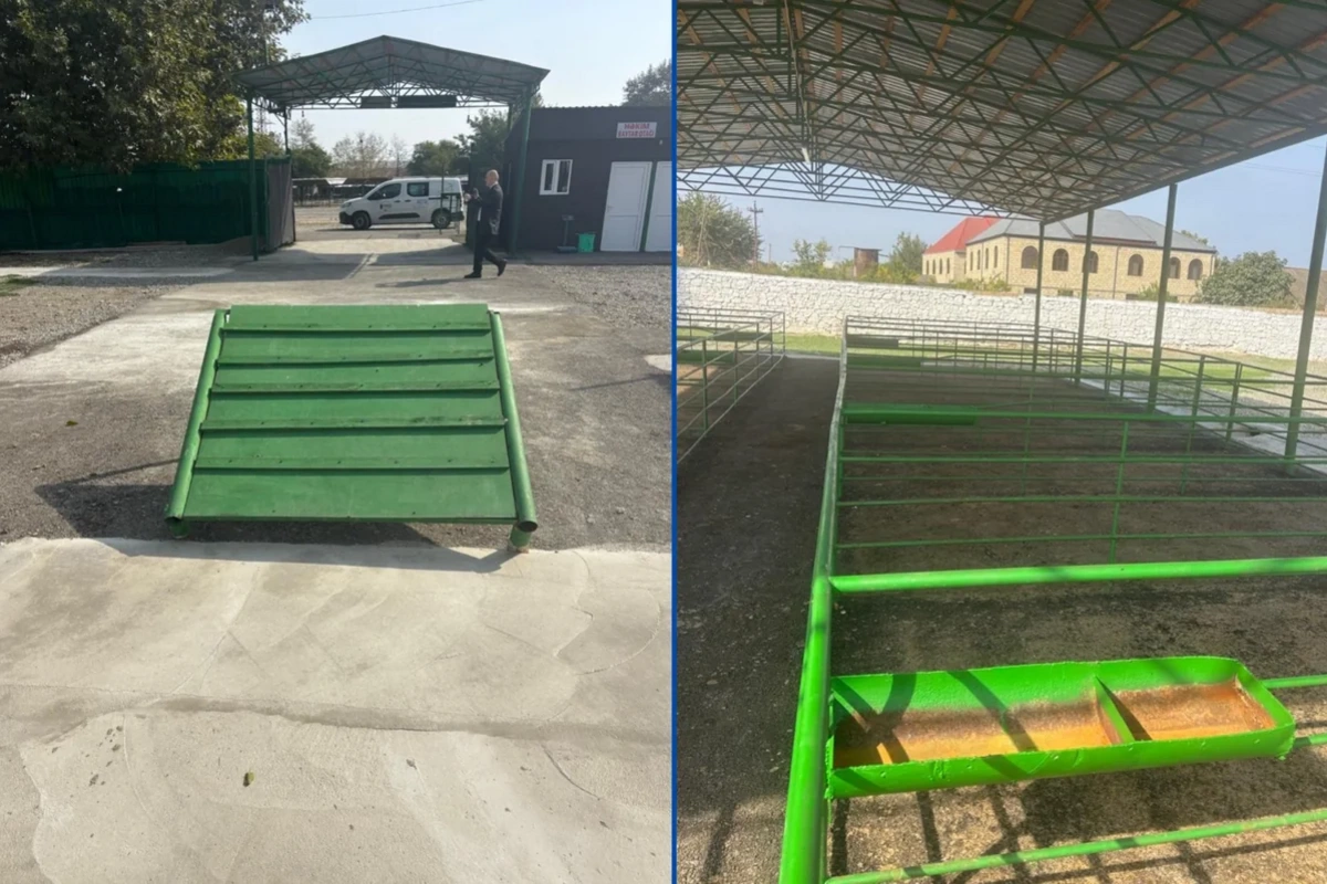 Şəmkirdə yeni heyvan satışı bazarı fəaliyyətə başlayıb