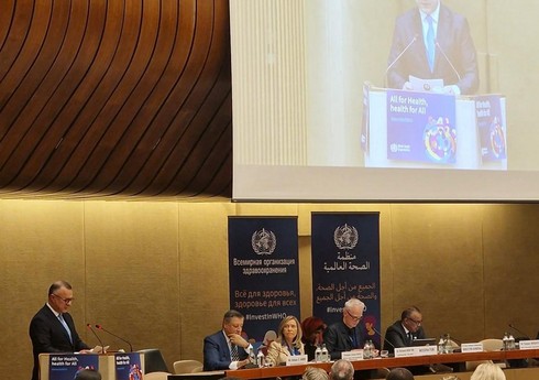 Səhiyyə naziri: Qlobal istiləşmə ilə bağlı xəstəliklərin sayı artmaqdadır