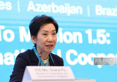 Sinqapurlu nazir iqlim böhranı ilə mübarizədə qəti tədbirlərə çağırış edib