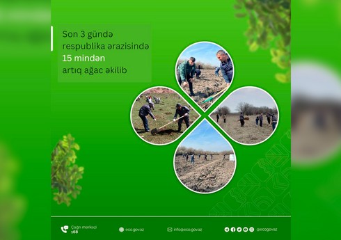 Son 3 gündə ölkə ərazisində 15 mindən artıq ağac əkilib