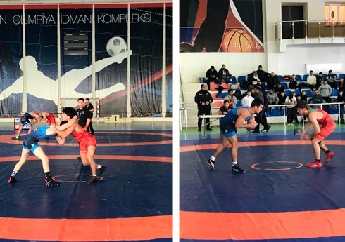 Sərbəst və yunan-Roma güləşi üzrə Bakı çempionatı keçirilib