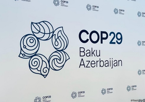 Səudiyyə Ərəbistanı COP29 çərçivəsində ilk karbon krediti birjasını işə salıb