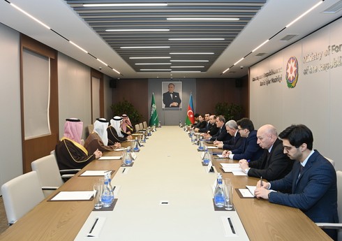 Səudiyyəli iş adamları Azərbaycanda “yaşıl energetika” və kənd təsərrüfatı sahələrinə sərmayə yatırmaq istəyir