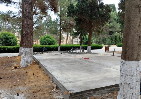 Sumqayıtda parkda qanunsuz tikintinin qarşısı alınıb