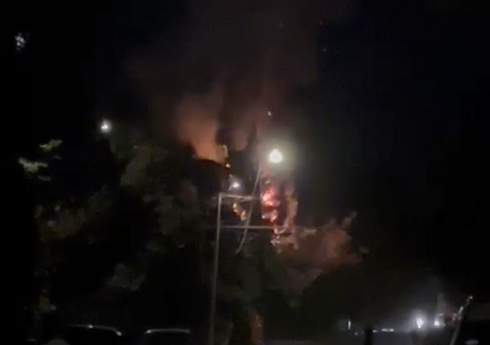 Sumqayıtda yanğın olub, şam ağaclarına ciddi ziyan dəyib