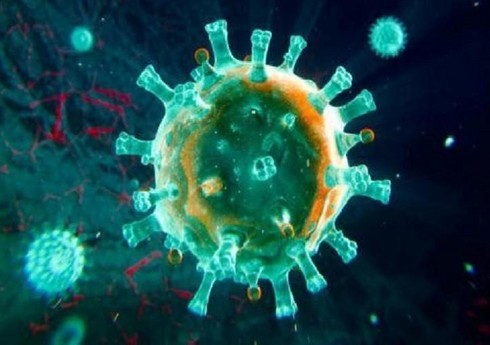 Suriyada vəbaya yoluxanların sayı 426-ya çatıb