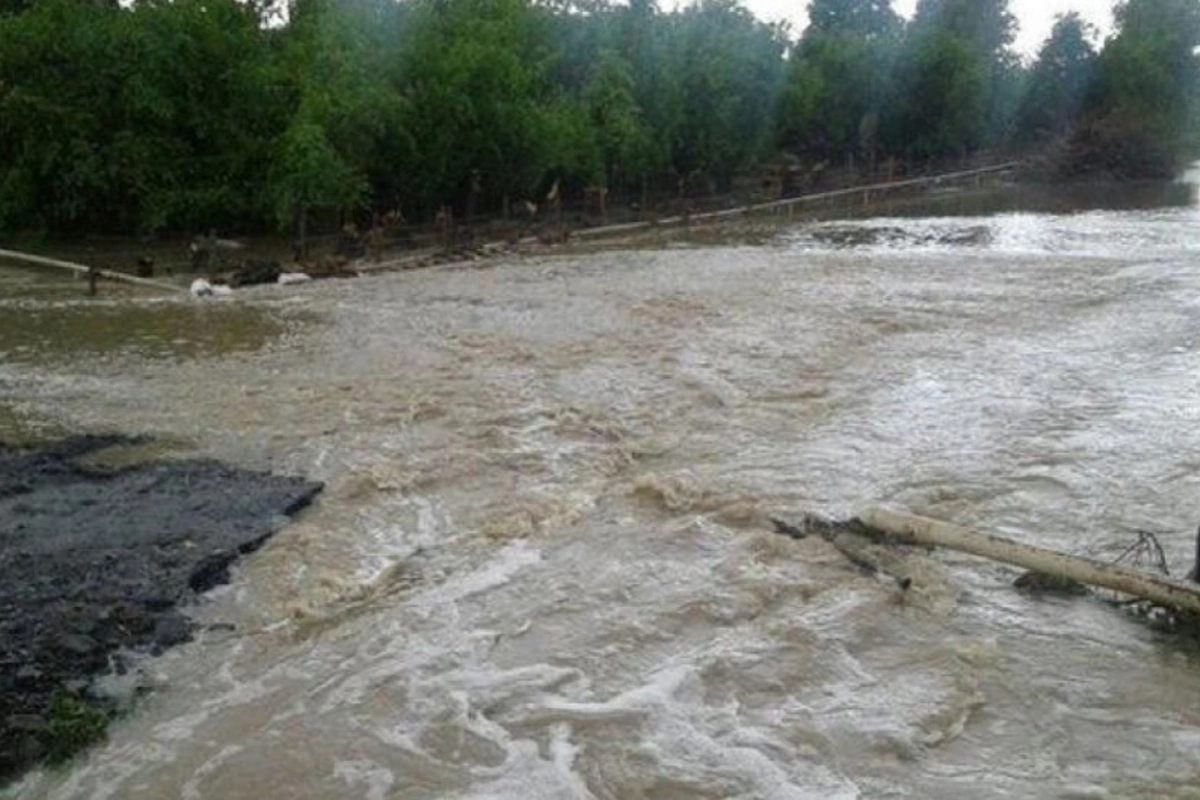 Talaçay və Damarçın çayından sel keçir