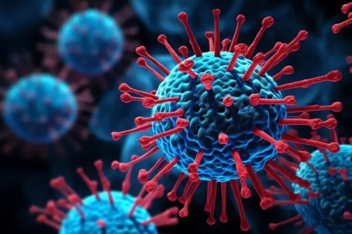 Təhlükəli virus! Yağış mövsümündə artır