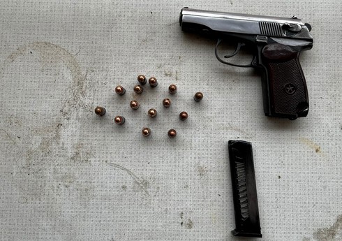 Ötən gün vətəndaşlardan götürülən silah-sursatın sayı açıqlanıb