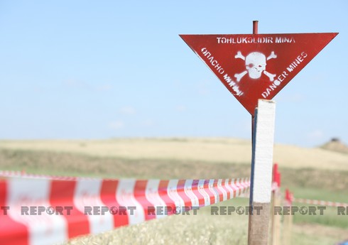 Ötən həftə azad edilmiş ərazilərdə 581 mina aşkarlanıb