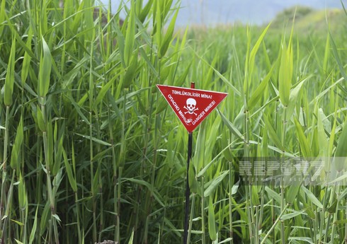 Ötən həftə azad olunan ərazilərdə 147 mina zərərsizləşdirilib