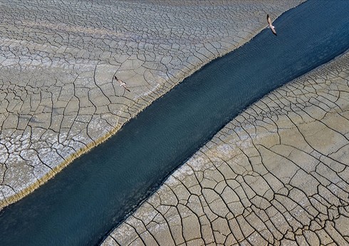 Türkiyə COP29-da iqlim dəyişikliyi ilə bağlı 