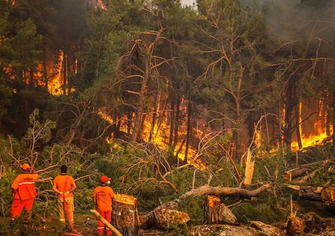 Türkiyədə meşə yanğınları ilə bağlı 6 nəfər saxlanılıb, daha 3-ü axtarışa verilib