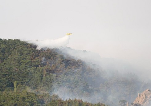 Türkiyədə meşə yanğınlarına qarşı mübarizə üç gündür davam edir