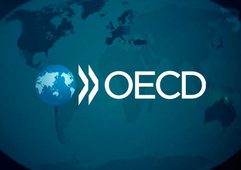 Ukrayna ölkənin bərpası ilə bağlı OECD sazişini imzalayıb