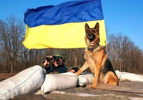 Ukrayna ordusu Tavriya istiqamətində bir gündə Rusiyanın 200-dək hərbçisini zərərsizləşdirib