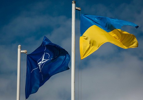 Ukrayna və NATO müdafiə planlaması üzrə müntəzəm danışıqlara başlayıb