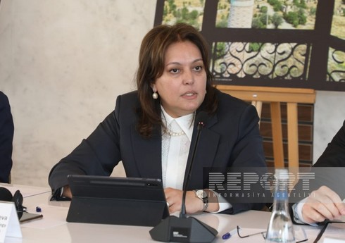 Umayra Tağıyeva: “İqtisadiyyatı sürətlə inkişaf edən ölkələr emissiyaların əhəmiyyətli hissəsini təşkil edir”