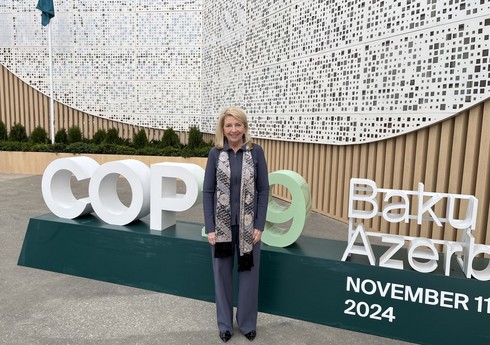 UNICEF rəhbəri: Təcili iqlim tədbirləri uğrunda çıxış etmək üçün COP29-dayam