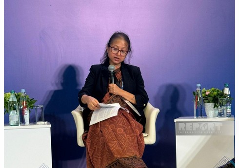 Vitse-prezident: “ADB-nin yeni əməliyyat modeli iqlim və özəl sektora diqqət yetirir”