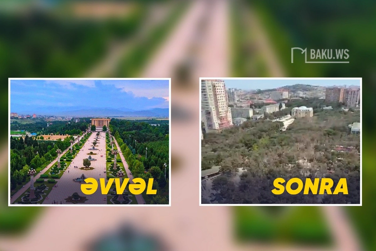 Xırdalandakı Heydər Parkında ağaclar quruyur - SƏBƏB AÇIQLANDI Xırdalandakı Heydər Parkında ağaclar quruyur - SƏBƏB AÇIQLANDI