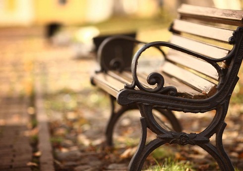 Xırdalanda parkdan 3 ədəd skamya oğurlanıb