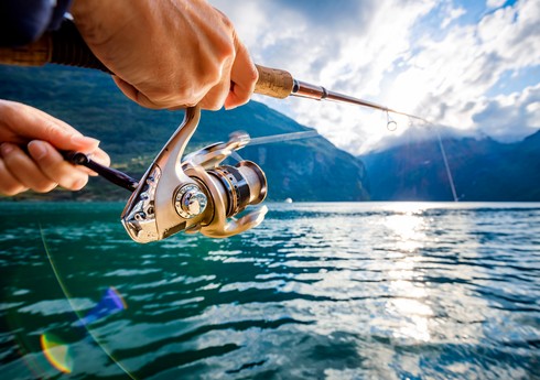 Xəzər dənizi, Mingəçevir su anbarı və Kür çayında qanunsuz balıq ovlayan şəxslər cərimələnib