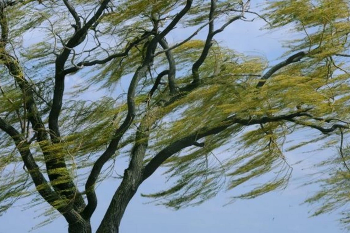 Yağıntılı və küləkli hava şəraiti davam edir