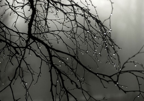 Yağıntılı hava şəraiti noyabrın 10-dək fasilələrlə davam edəcək - YENİLƏNİB