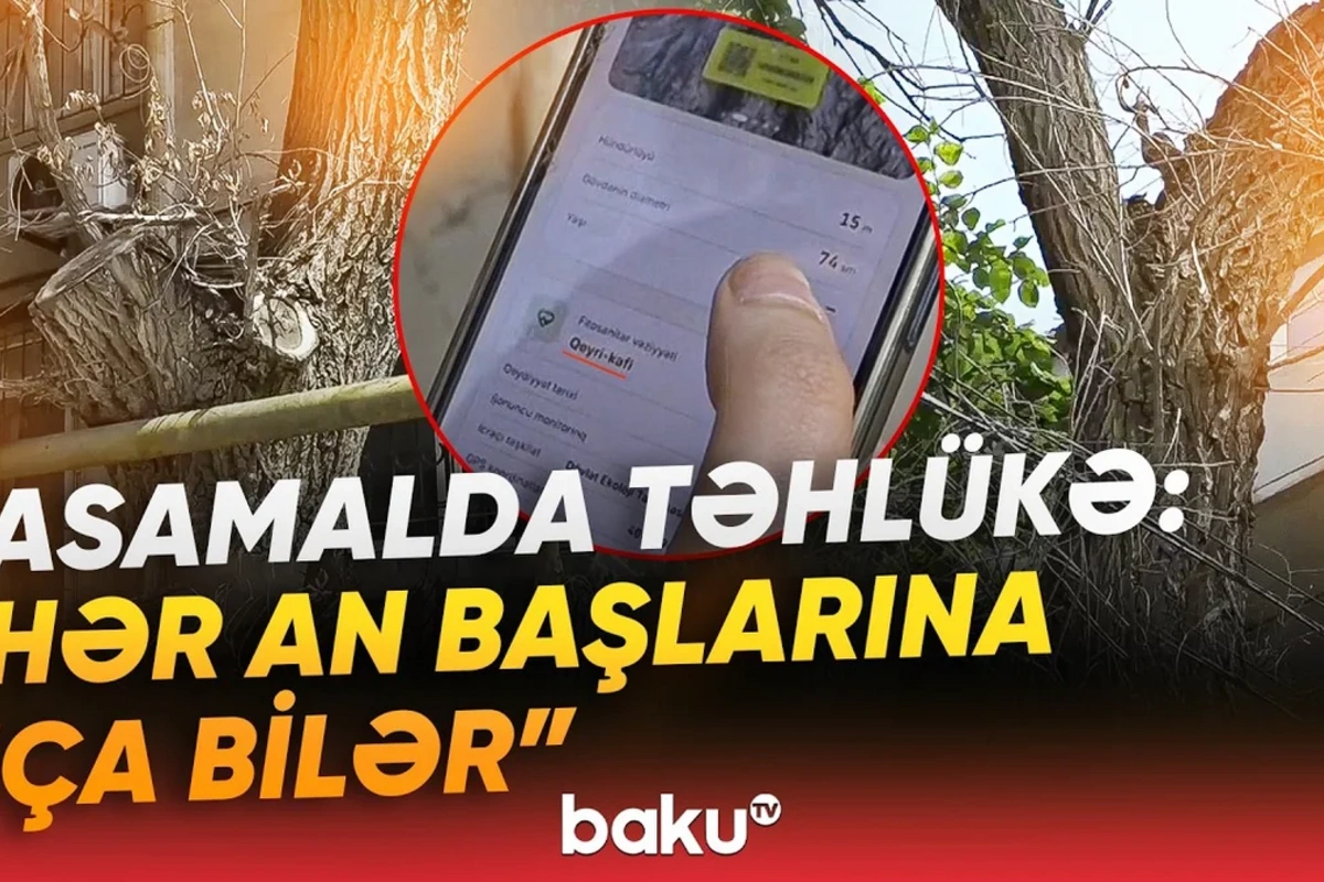 Yasamal sakinləri qorxu içində: Dəhşət saçan problemi kim həll etməlidir?