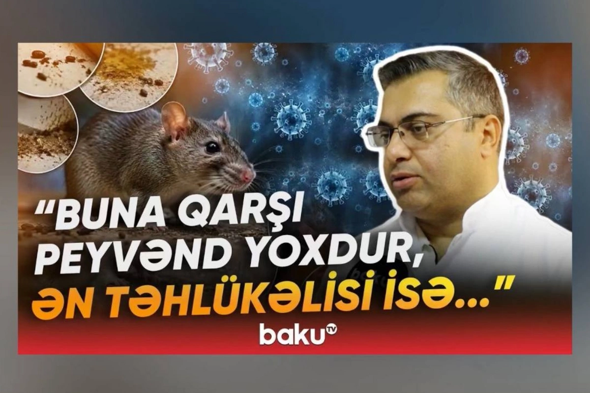 Yeni yayılan virusla bağlı xəbərdarlıq: 