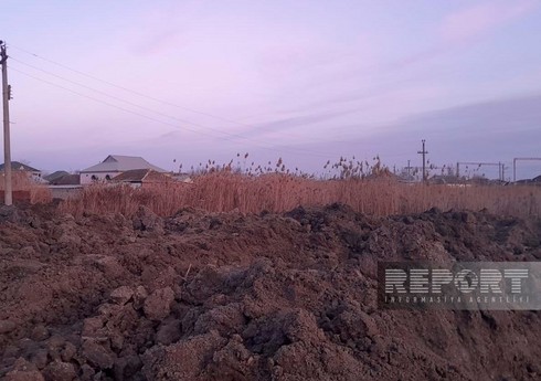 Yevlaxda dəfələrlə yanğın baş verən qamışlıq ərazi qurudulur 