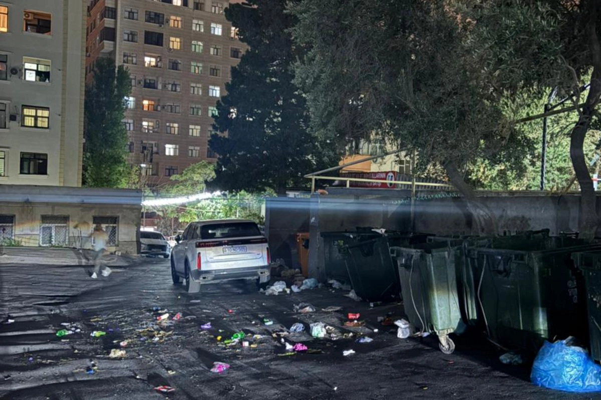 Zibillər avomobil yoluna 