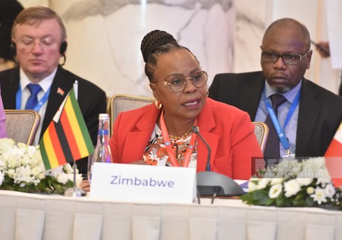 Zimbabvedə qadınlar bankı təsis edilib